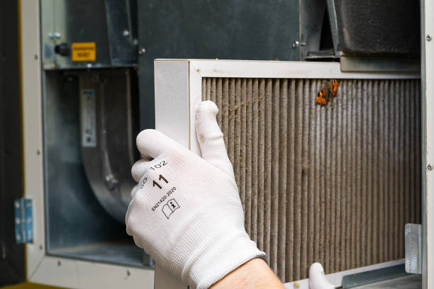 Best Air Duct Cleaning Company Near Me  in Roebuck, SC