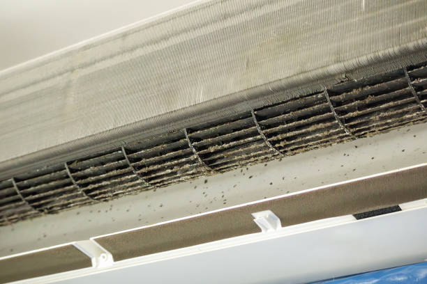 Best Home Air Vent Cleaning  in Roebuck, SC