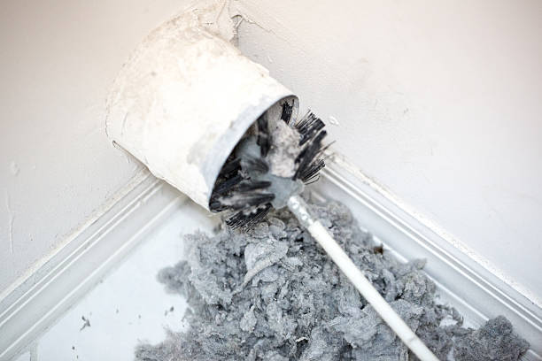 Best Air Duct Cleaning Near Me  in Roebuck, SC